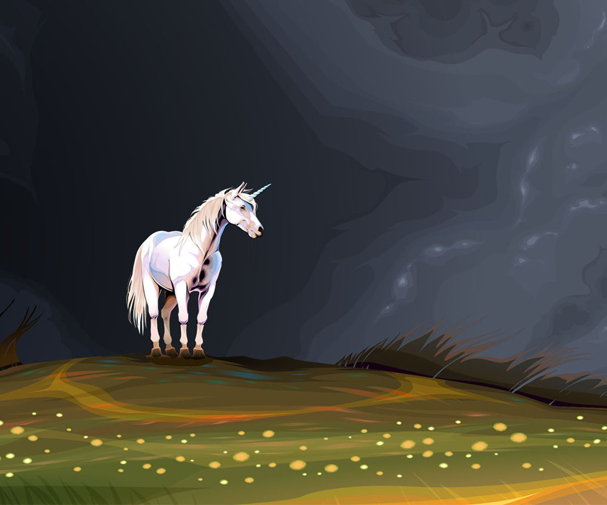 Where have all the unicorns gone?